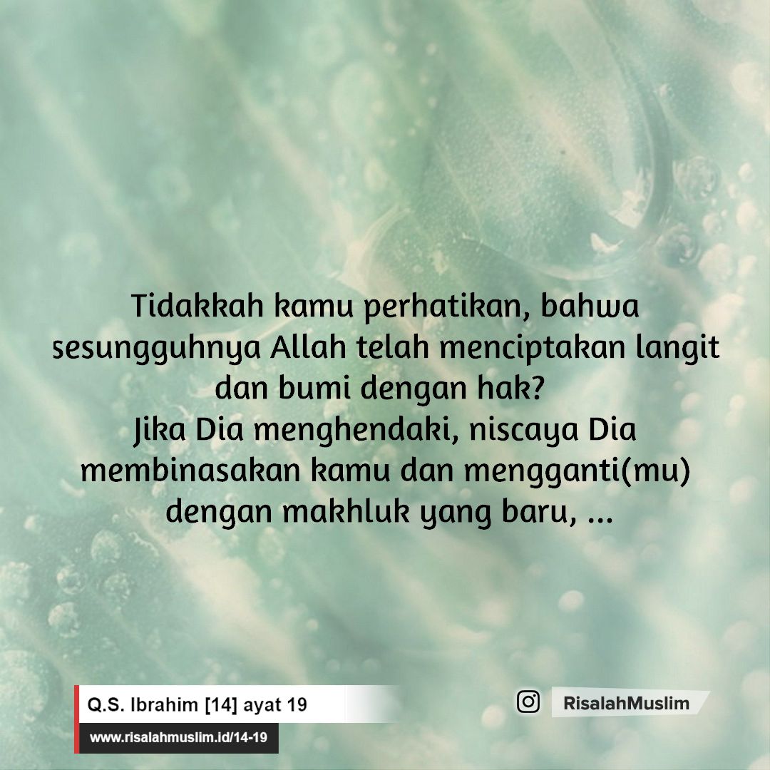 Detail Surat Ibrahim Ayat 23 Nomer 36