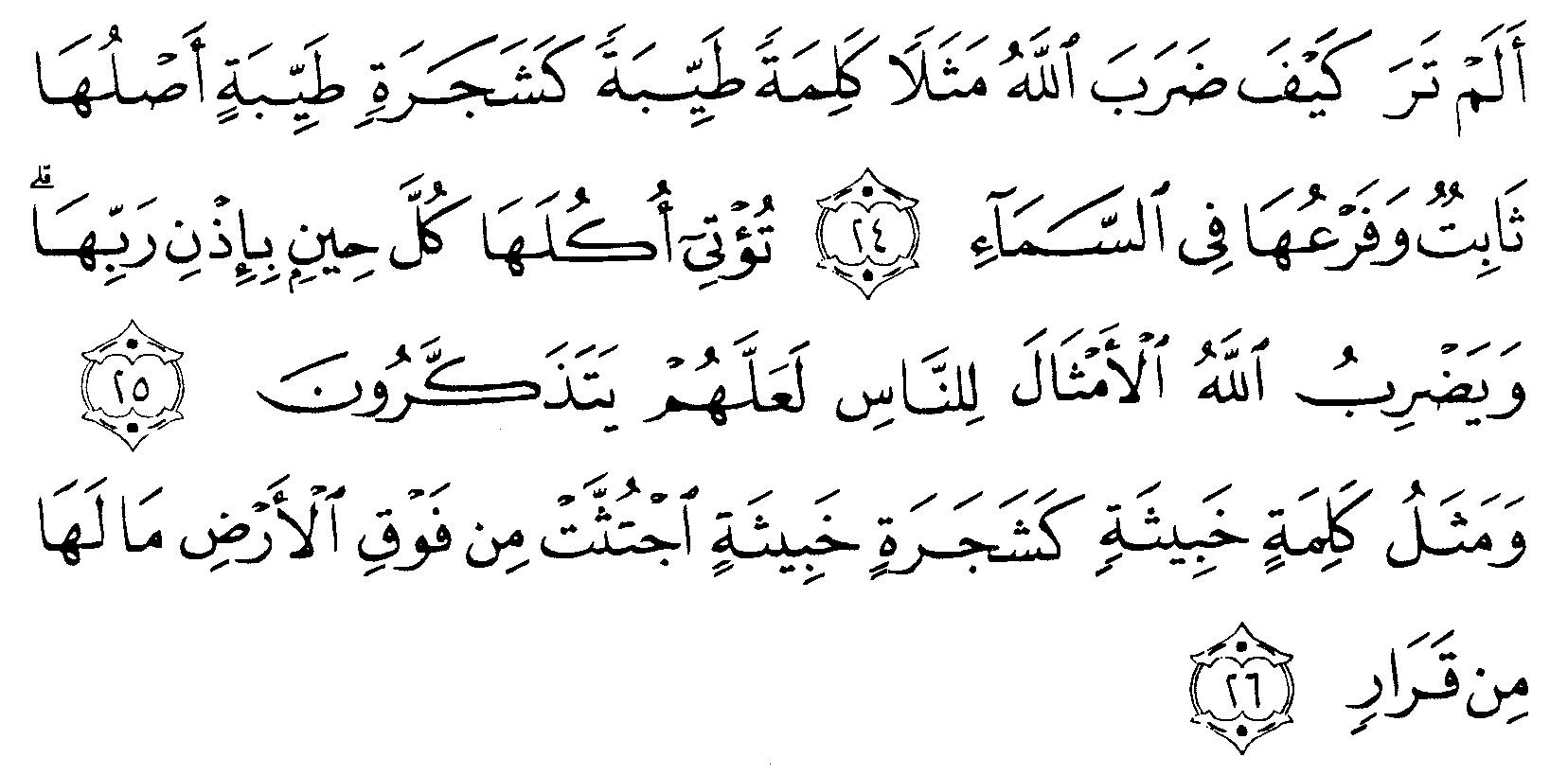 Surat Ibrahim Ayat 24 25 - KibrisPDR