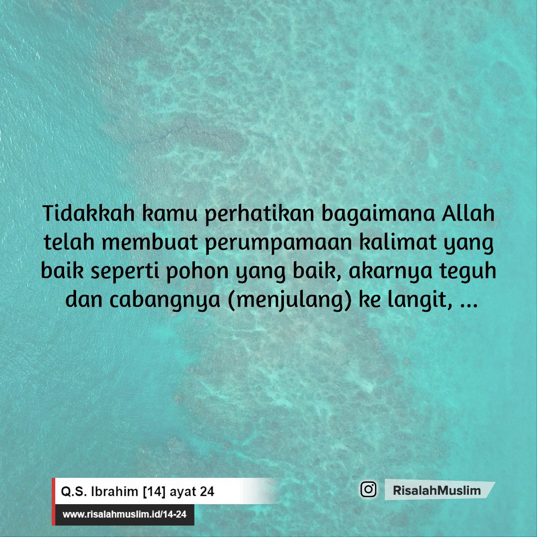 Detail Surat Ibrahim Ayat 24 25 Nomer 16