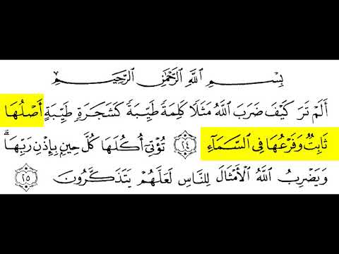 Detail Surat Ibrahim Ayat 24 25 Nomer 8