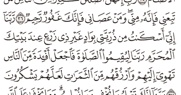 Detail Surat Ibrahim Ayat 39 Nomer 19