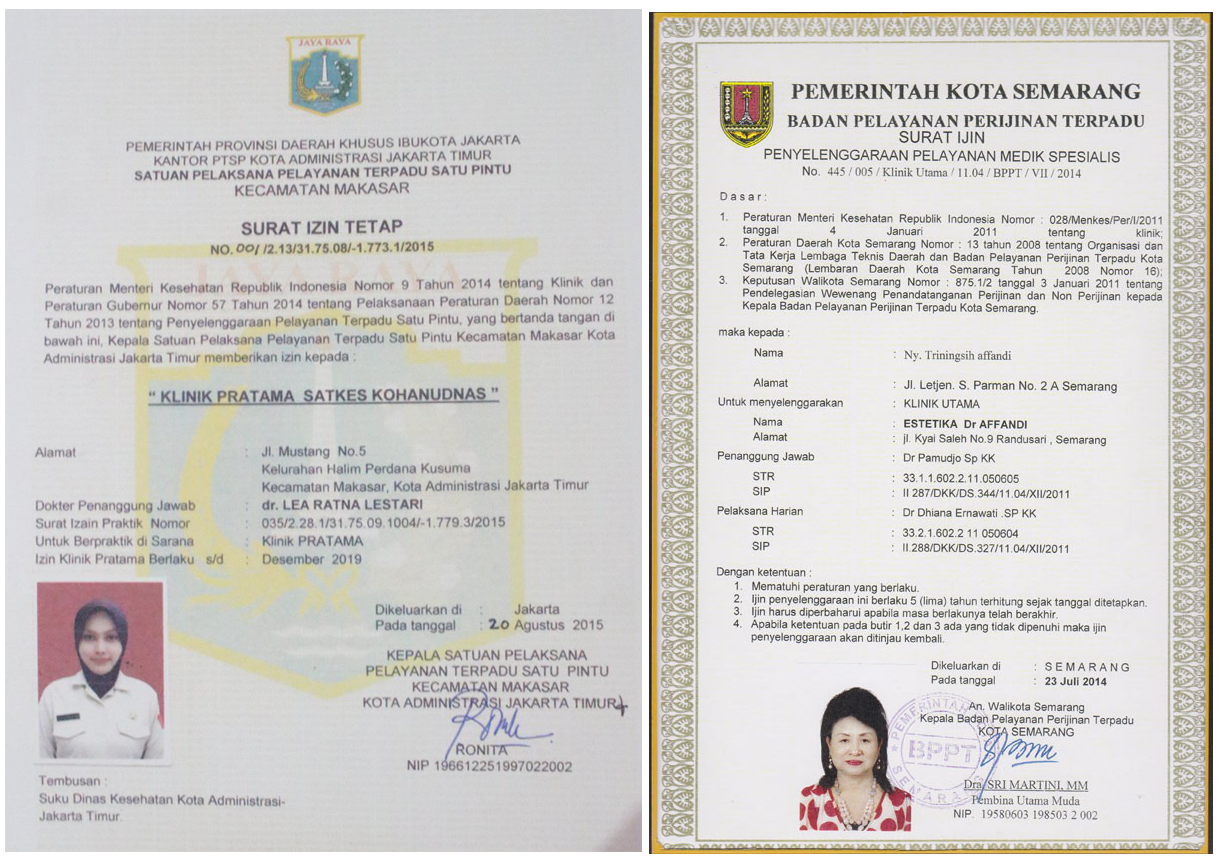 Detail Surat Izin Praktik Dokter Nomer 22
