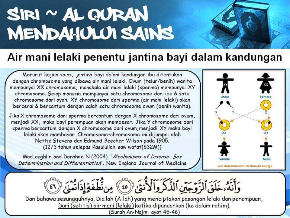 Detail Surat Ke 9 Dalam Al Quran Nomer 24