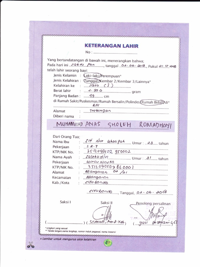 Detail Surat Kenal Lahir Nomer 29