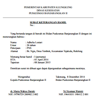 Detail Surat Keterangan Hamil Dari Dokter Nomer 13