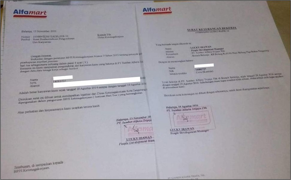 Detail Surat Keterangan Kerja Alfamart Nomer 14