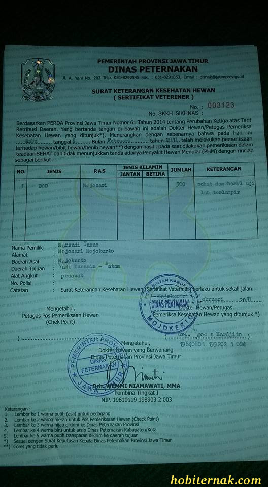 Detail Surat Keterangan Kesehatan Hewan Skkh Nomer 13