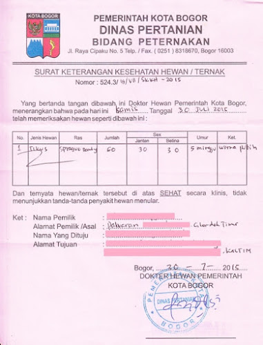 Detail Surat Keterangan Kesehatan Hewan Skkh Nomer 6