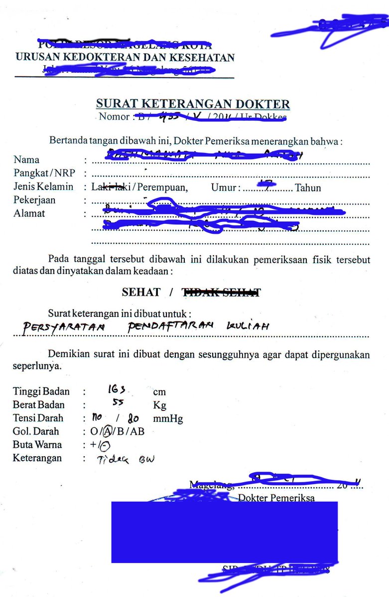 Detail Surat Keterangan Sehat Dan Tidak Buta Warna Nomer 25