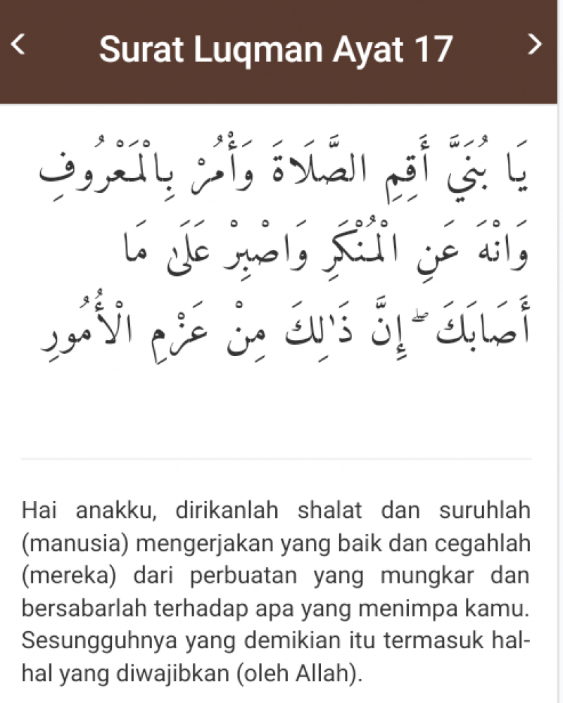 Detail Surat Luqman Ayat 17 Nomer 5