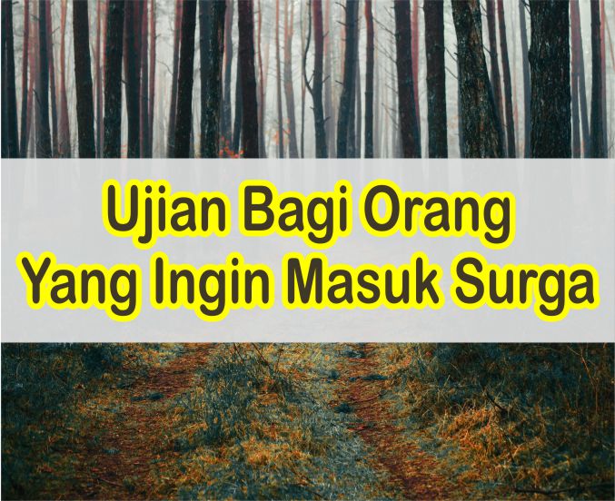 Detail Surat Masuk Surga Nomer 49