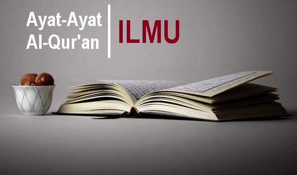 Detail Surat Menuntut Ilmu Nomer 43