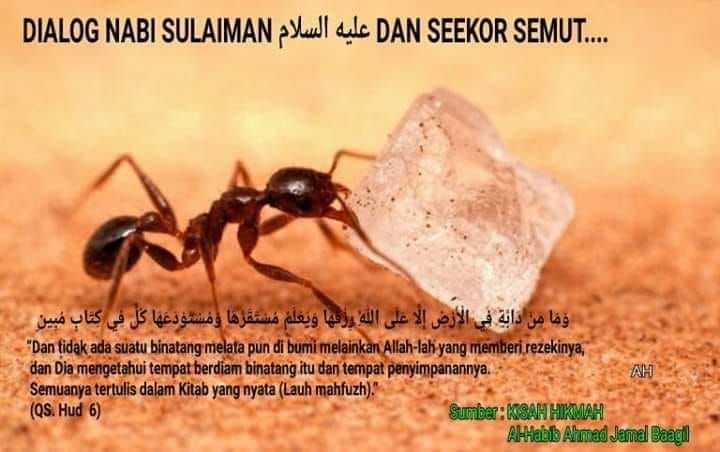 Detail Surat Nabi Sulaiman Nomer 13