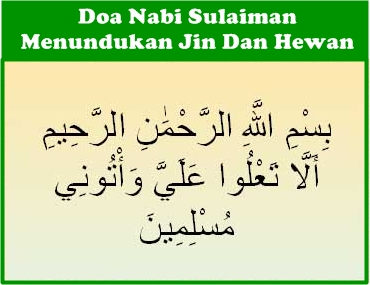 Detail Surat Nabi Sulaiman Nomer 41