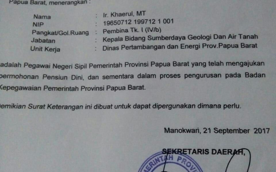 Detail Surat Pengajuan Pensiun Dini Nomer 28