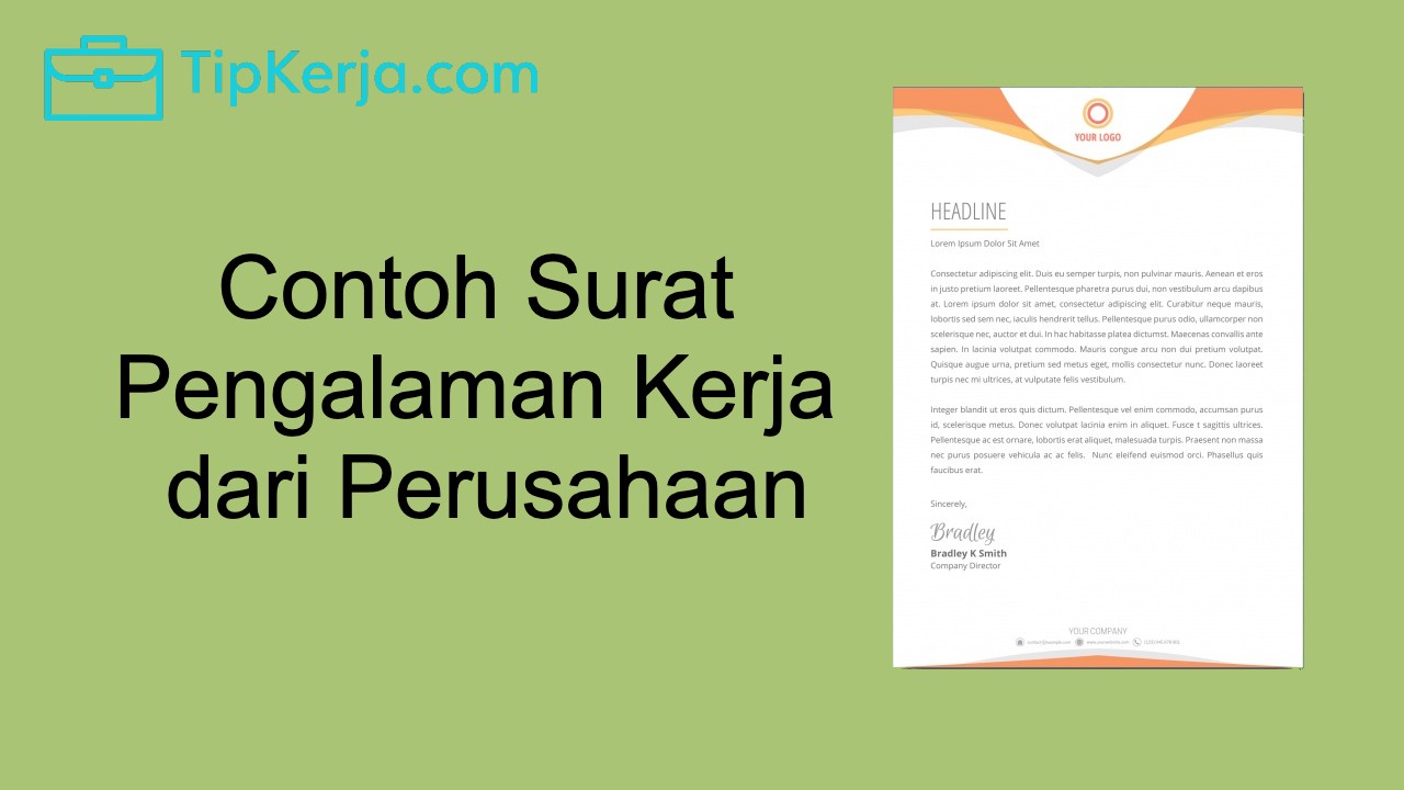 Detail Surat Pengalaman Kerja Perusahaan Nomer 46