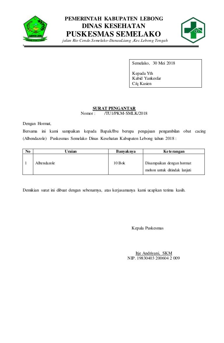 Detail Surat Pengantar Dinas Nomer 11