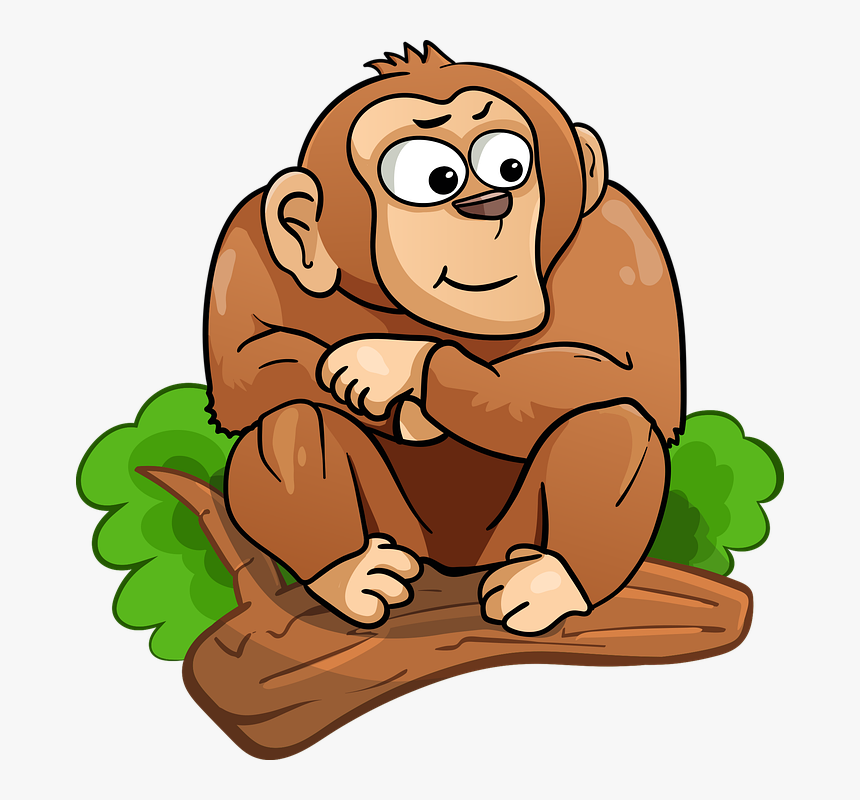 Detail Download Gambar Monyet Nomer 18