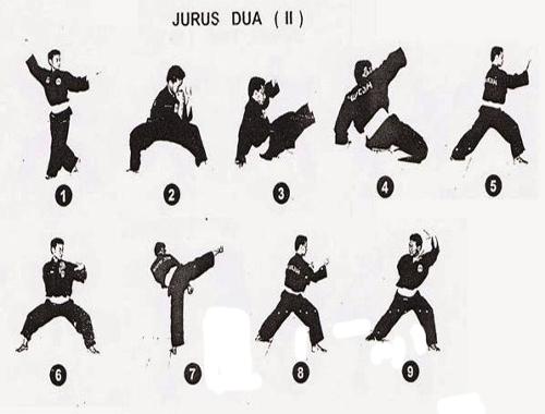 Detail Download Gambar Pencak Silat Nomer 21