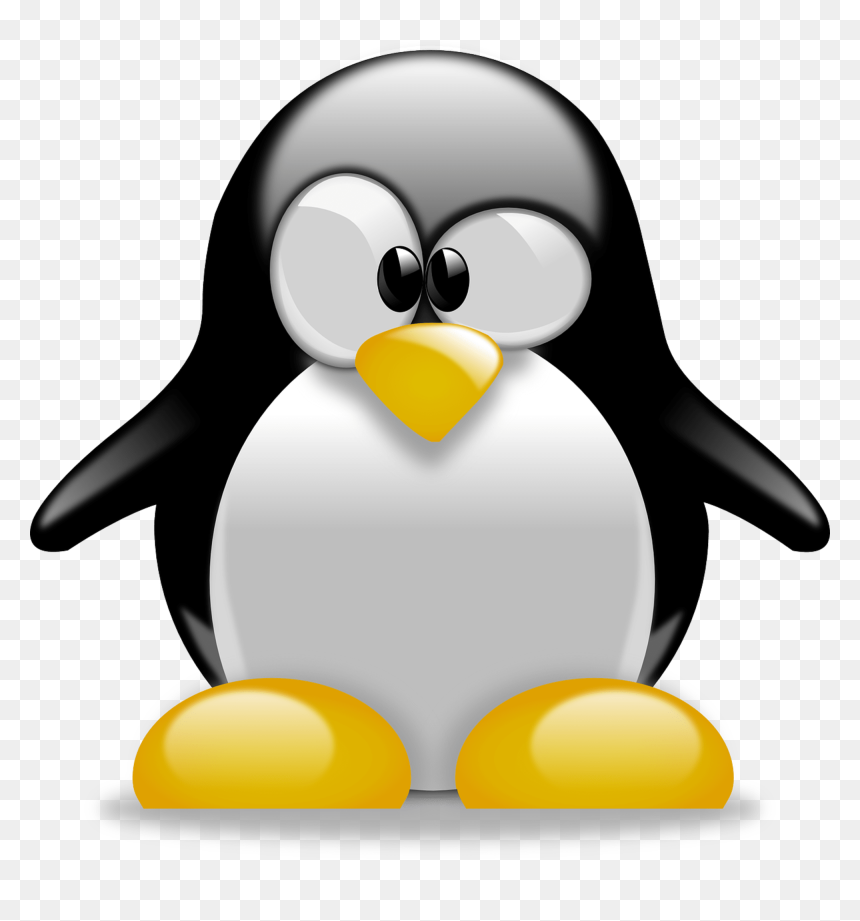 Detail Download Gambar Pinguin Nomer 23