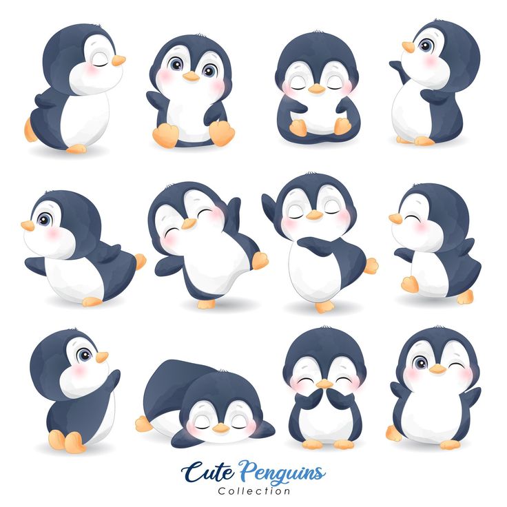 Detail Download Gambar Pinguin Nomer 28