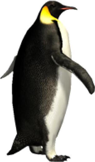 Detail Download Gambar Pinguin Nomer 38
