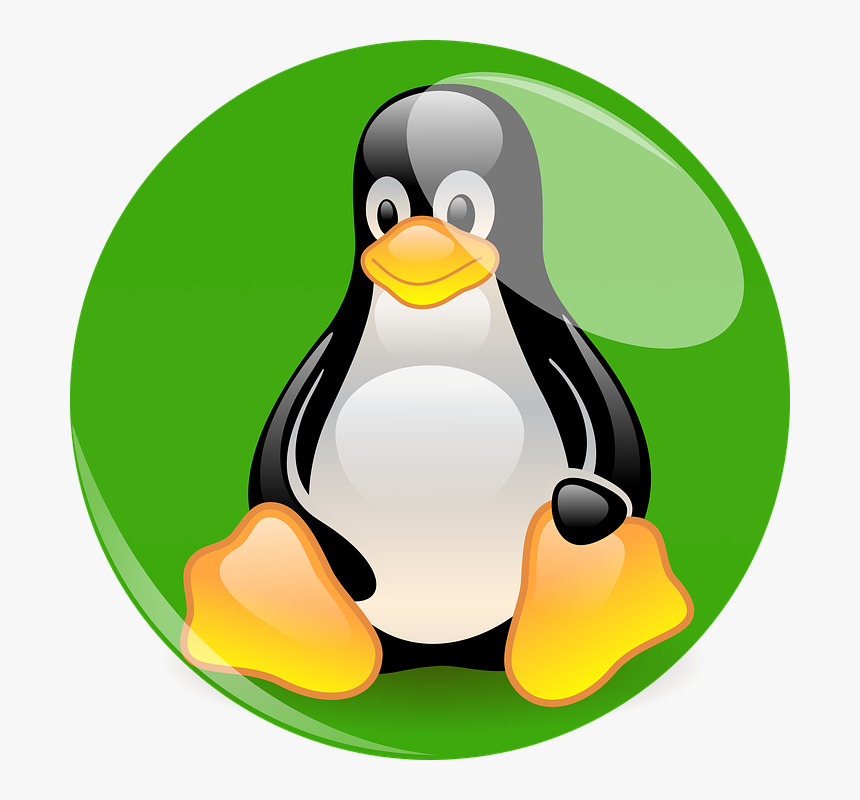 Detail Download Gambar Pinguin Nomer 49