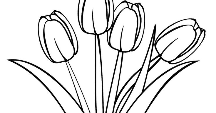 Detail Download Gambar Sketsa Bunga Matahari Nomer 31
