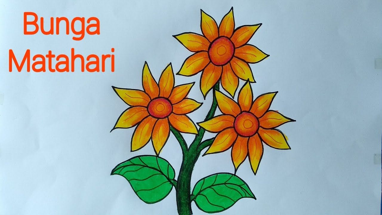 Detail Download Gambar Sketsa Bunga Matahari Nomer 48