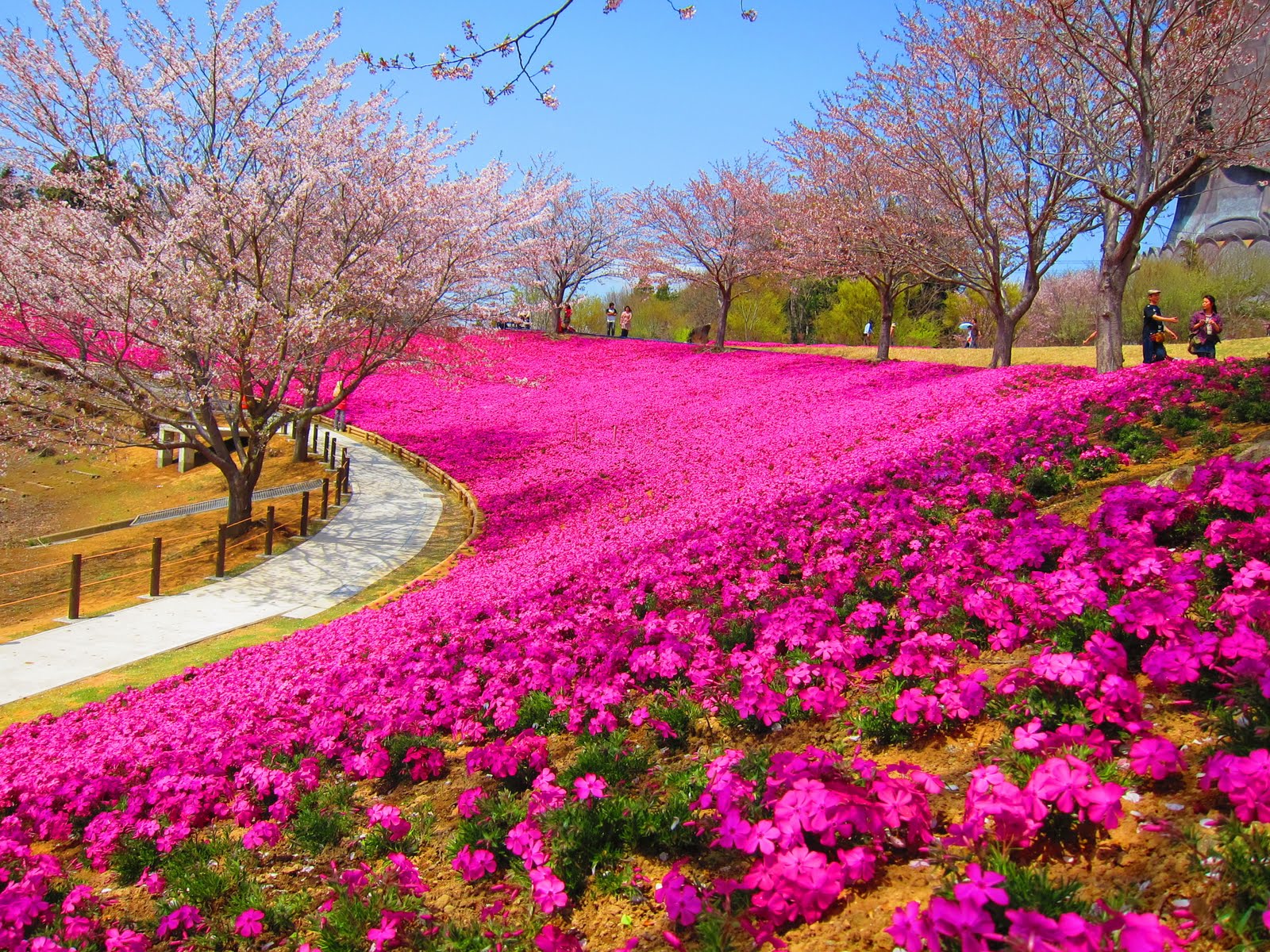 Download Gambar Taman Bunga Terindah Di Dunia - KibrisPDR