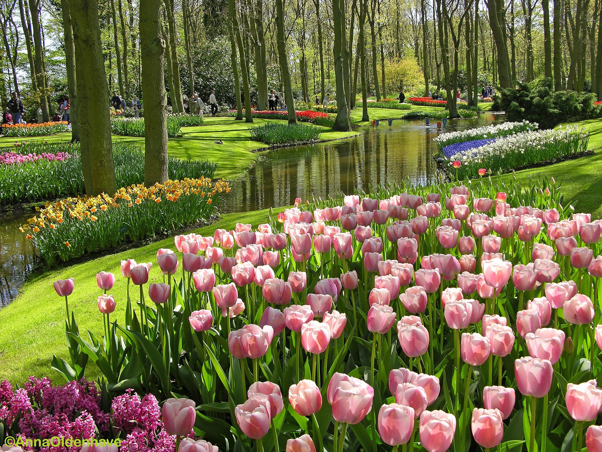 Detail Download Gambar Taman Bunga Terindah Di Dunia Nomer 23