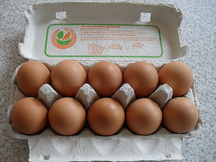 Detail Download Gambar Telur Ayam Nomer 21