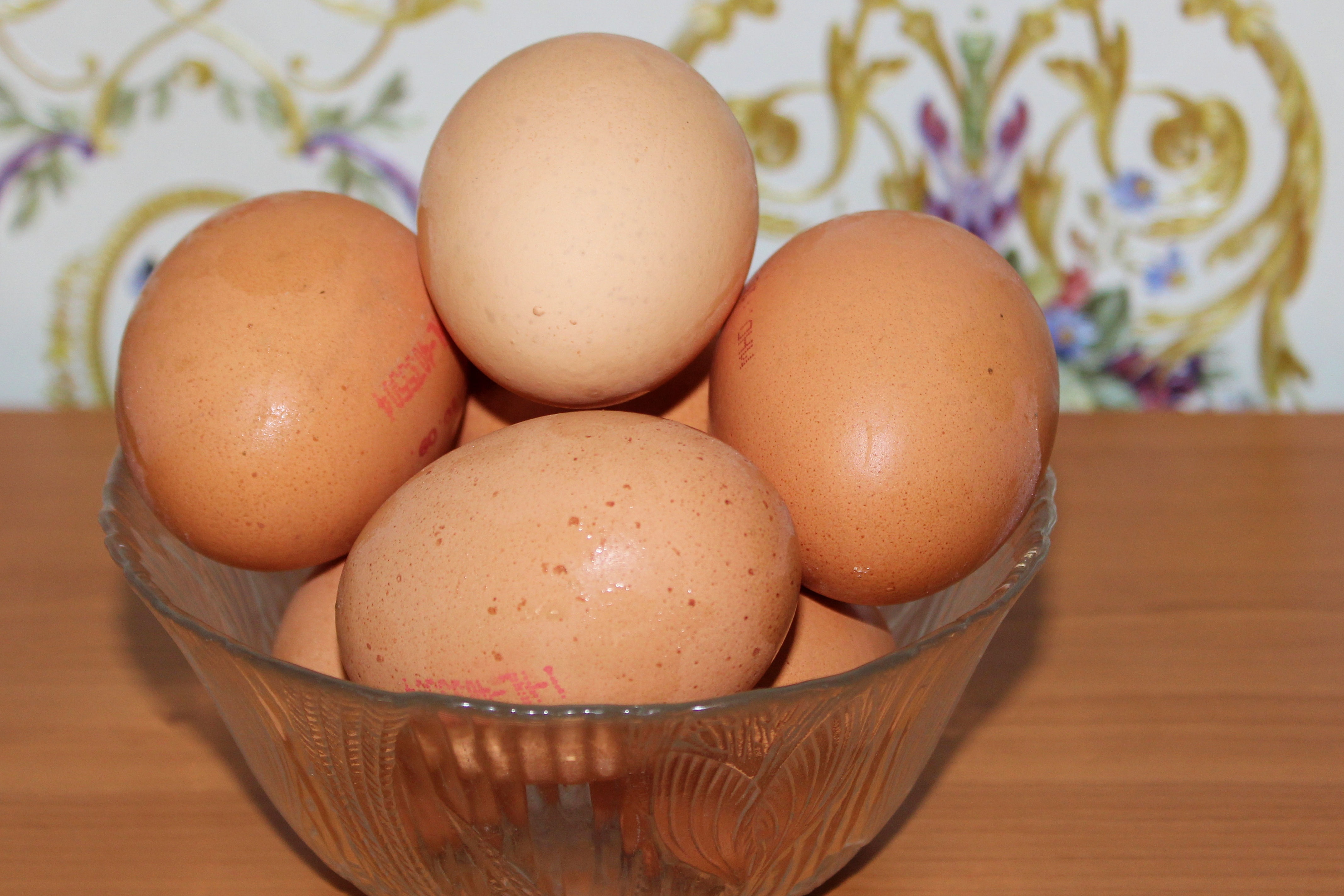 Detail Download Gambar Telur Ayam Nomer 5