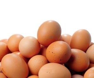 Detail Download Gambar Telur Ayam Nomer 53