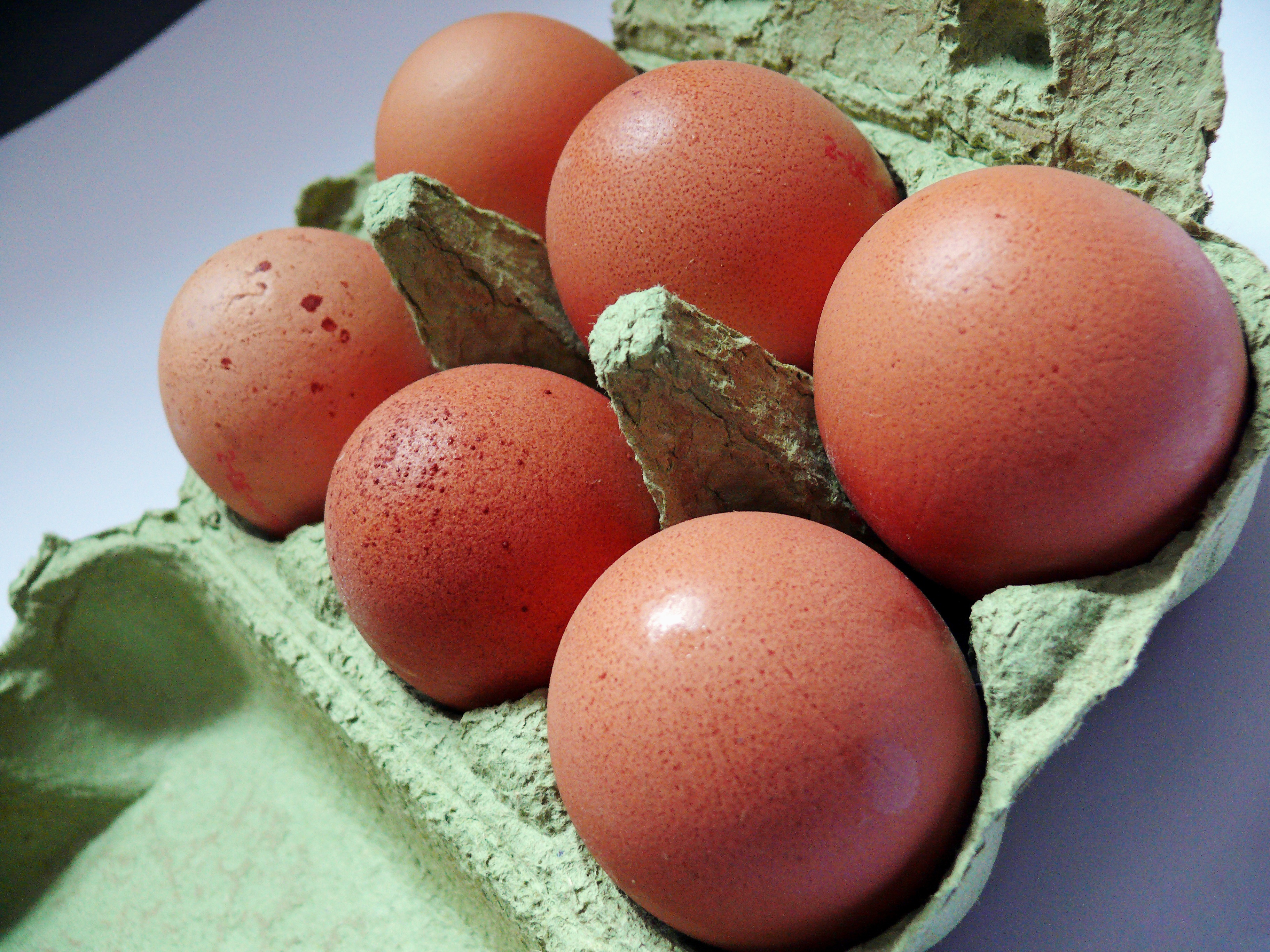 Detail Download Gambar Telur Ayam Nomer 56