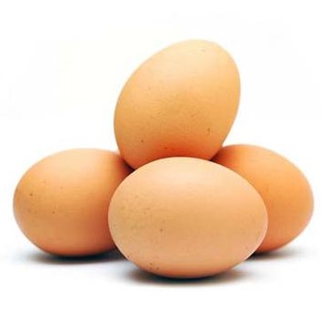 Detail Download Gambar Telur Ayam Nomer 7