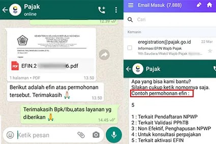Detail Surat Permohonan Efin Nomer 21