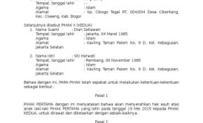 Detail Surat Pernyataan Anak Kandung Nomer 49