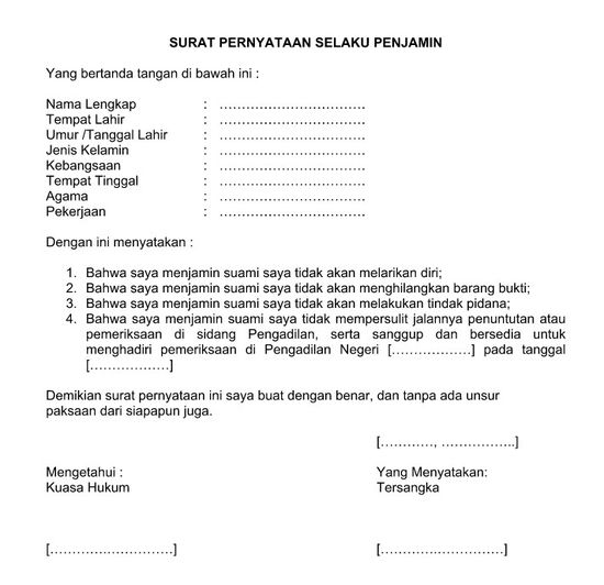 Detail Surat Pernyataan Doc Nomer 3