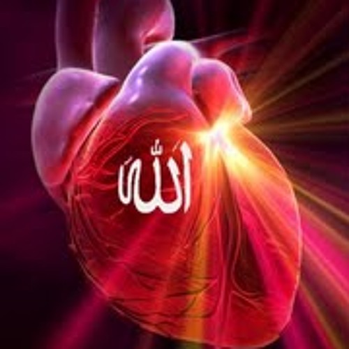 Detail Surat Ratib Al Haddad Nomer 48