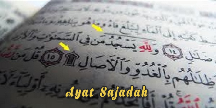 Detail Surat Sajadah Latin Nomer 37