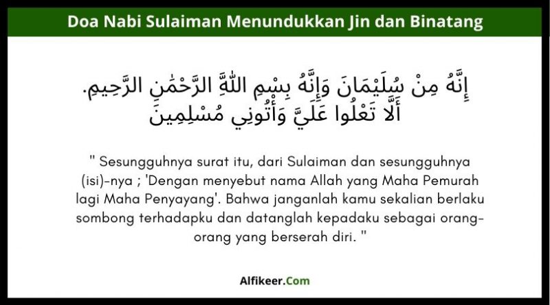 Detail Surat Sulaiman Latin Dan Terjemahannya Nomer 6