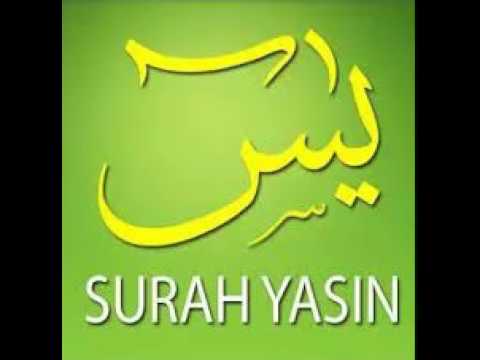 Detail Surat Surat Yasin Nomer 51