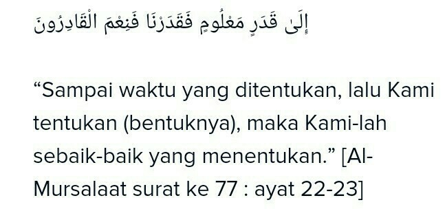 Detail Surat Tentang Qada Dan Qadar Nomer 13