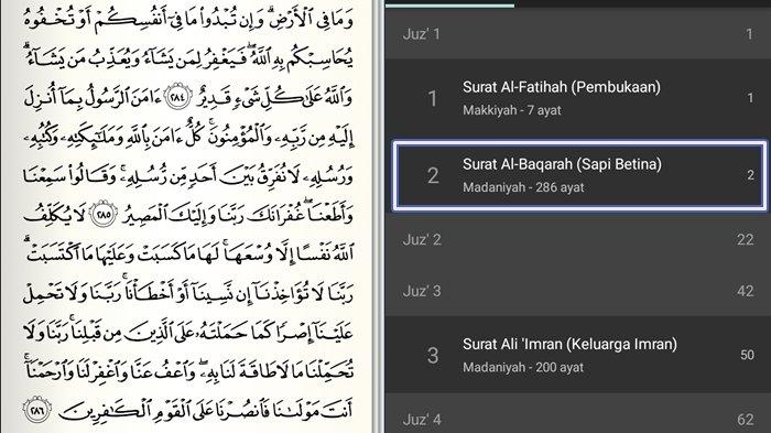 Detail Surat Terakhir Dalam Al Quran Nomer 8