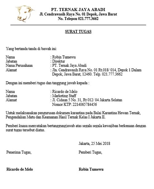 Detail Surat Tugas Audit Internal Nomer 17