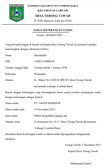 Detail Surat Usaha Dari Kelurahan Nomer 13