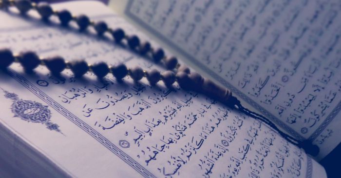 Detail Surat Yang Baik Dibaca Setelah Sholat Subuh Nomer 48