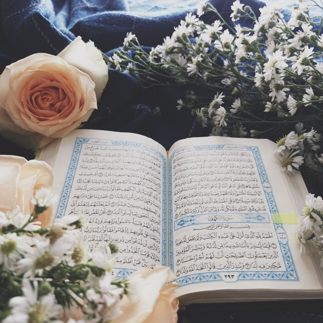 Detail Surat Yang Dibaca Saat Shalat Tarawih Nomer 41