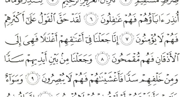 Detail Surat Yasin Ayat 12 Nomer 14